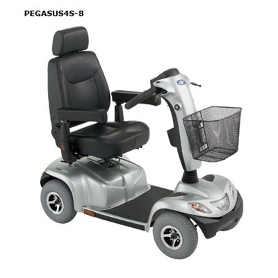 Four Wheel Scooter: Pegasus